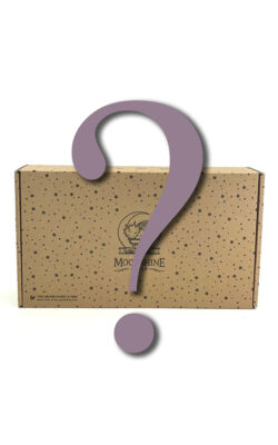 BlindDateBoxDeWeb Blind Date Buch Romance Deutsch