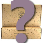 Book Blind Date Fantasy or Romance Englisch