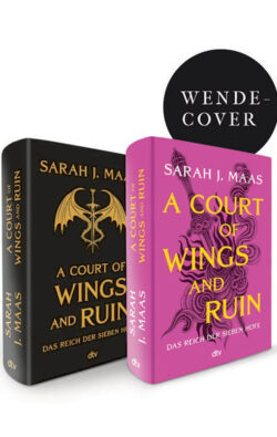 Wendecover A Court of Wings and Ruin A Court of Wings and Ruin